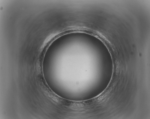 X0000063501215200601231429