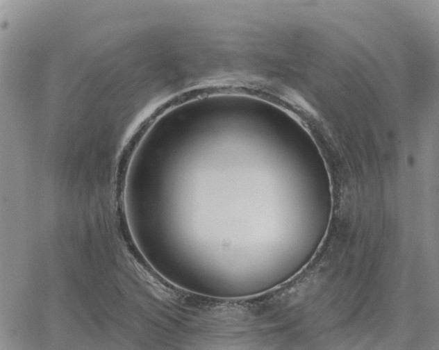 X0000063501216200601231429