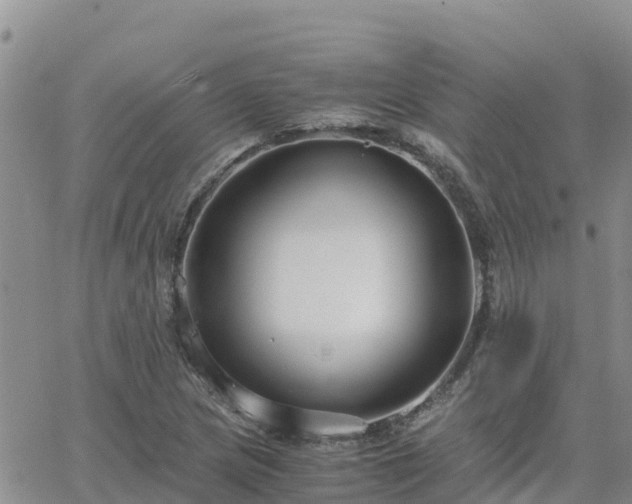 X0000063501217200601231429