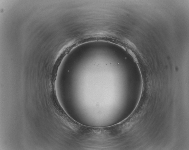 X0000063501218200601231429