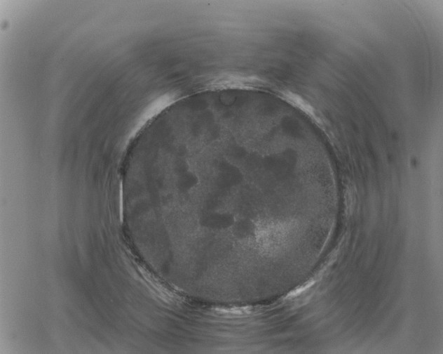 X0000063501219200601231429