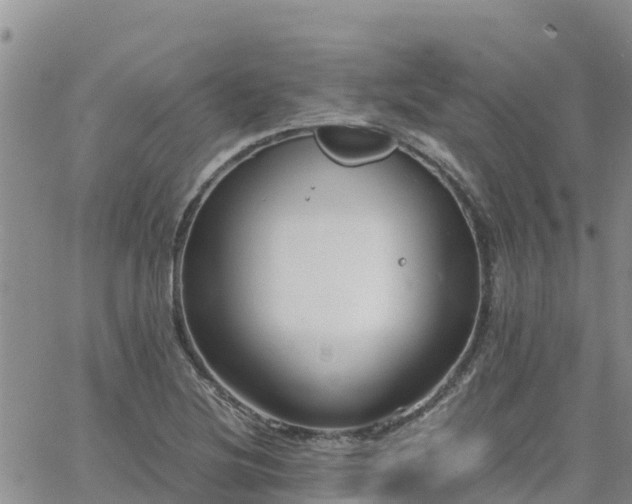 X0000063501220200601231429