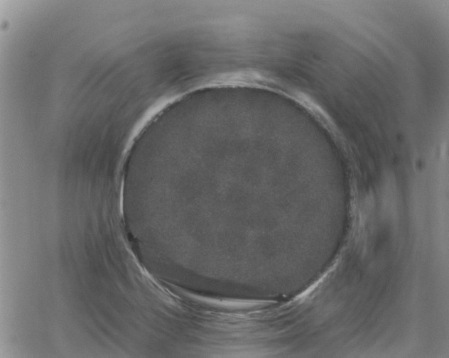 X0000063501224200601231429