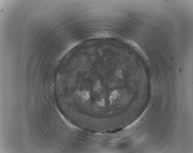 X0000063501225200601231429