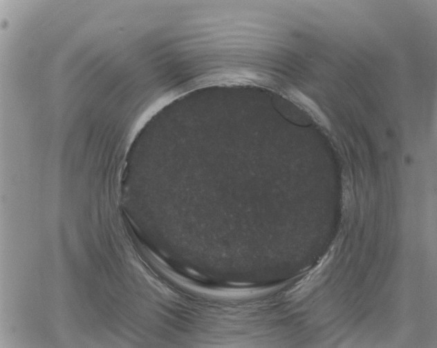 X0000063501226200601231429