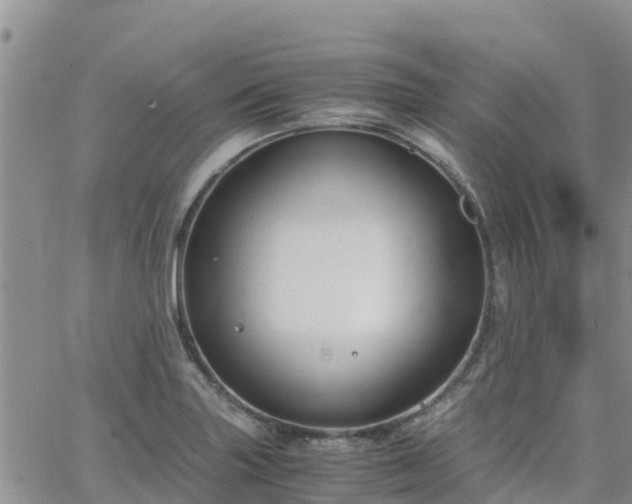 X0000063501227200601231429