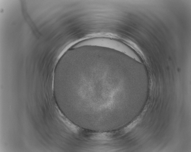 X0000063501228200601231429