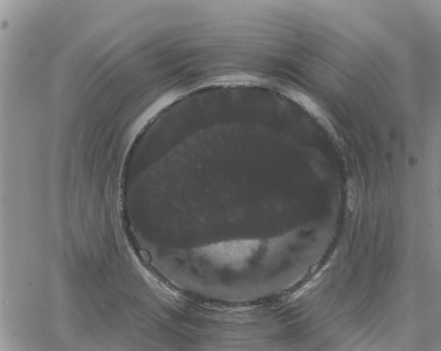 X0000063501229200601231429