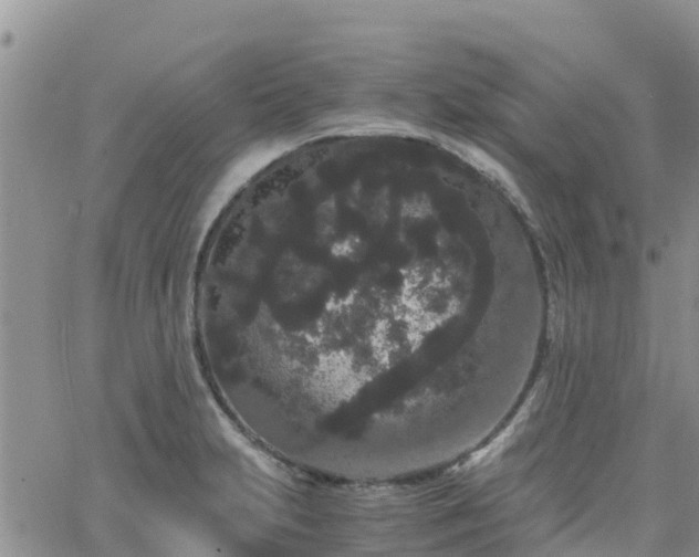 X0000063501231200601231429