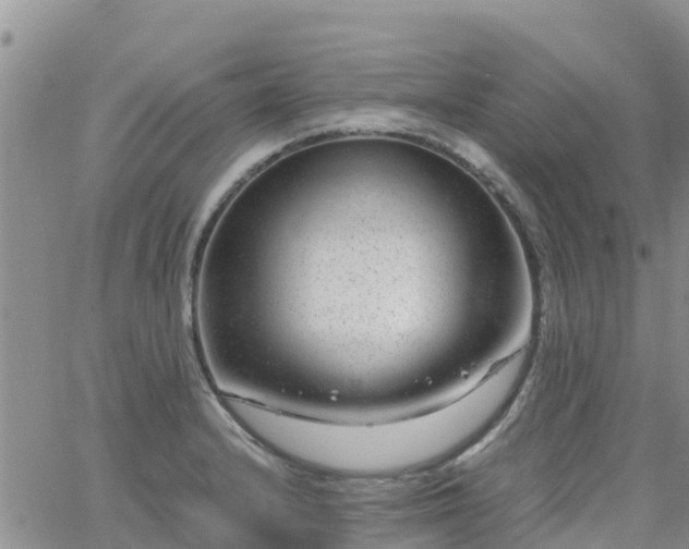 X0000063501232200601231429