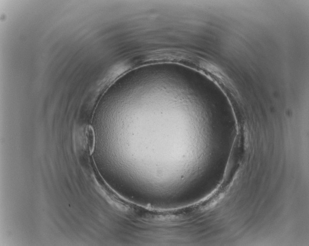 X0000063501233200601231429