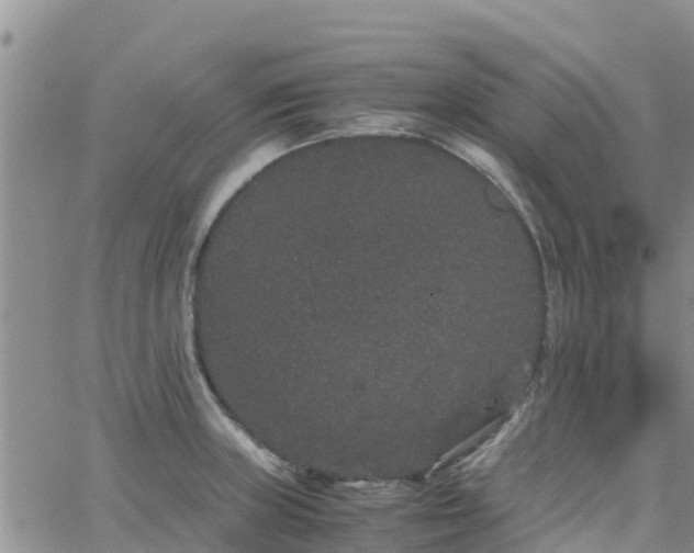 X0000063501235200601231429