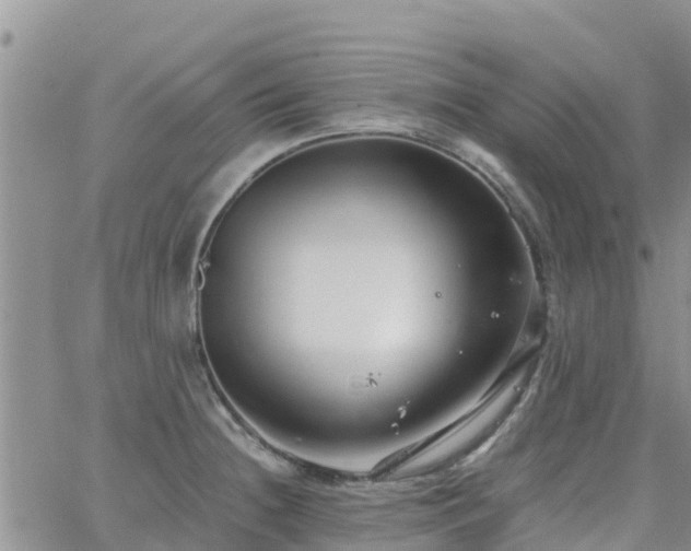 X0000063501236200601231429