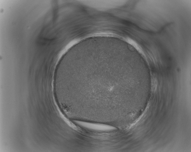 X0000063501237200601231429