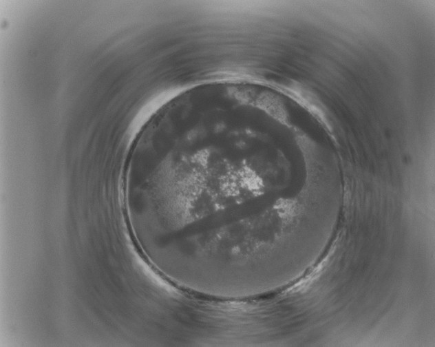 X0000063501239200601231429