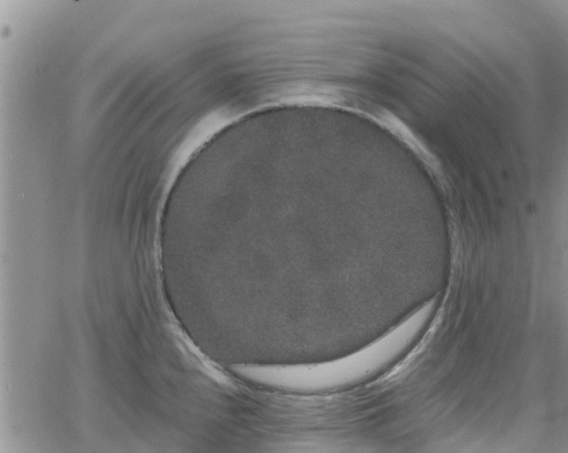 X0000063501240200601231429