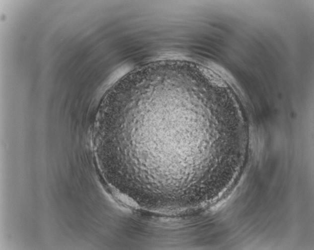 X0000063501241200601231429