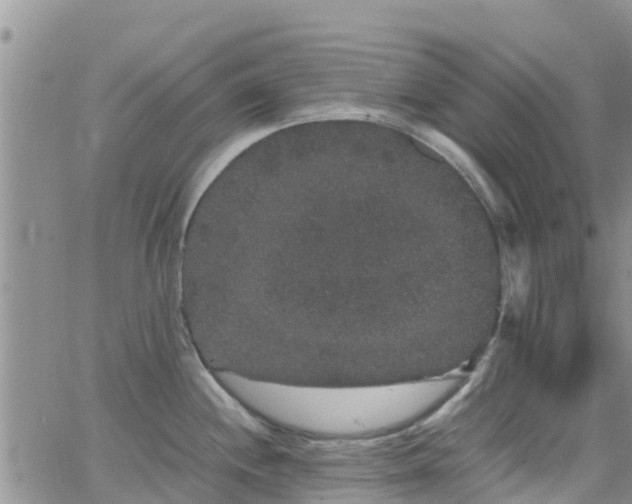 X0000063501244200601231429