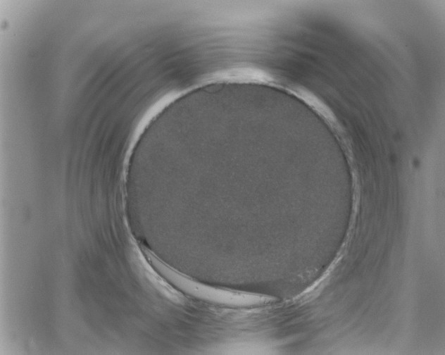 X0000063501248200601231429