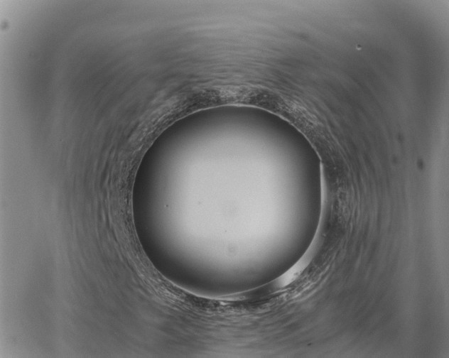 X0000063501249200601231428