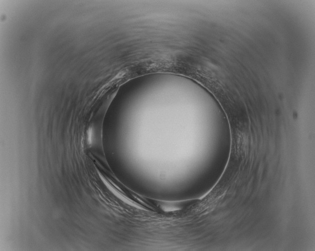 X0000063501250200601231428