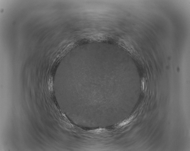 X0000063501251200601231428