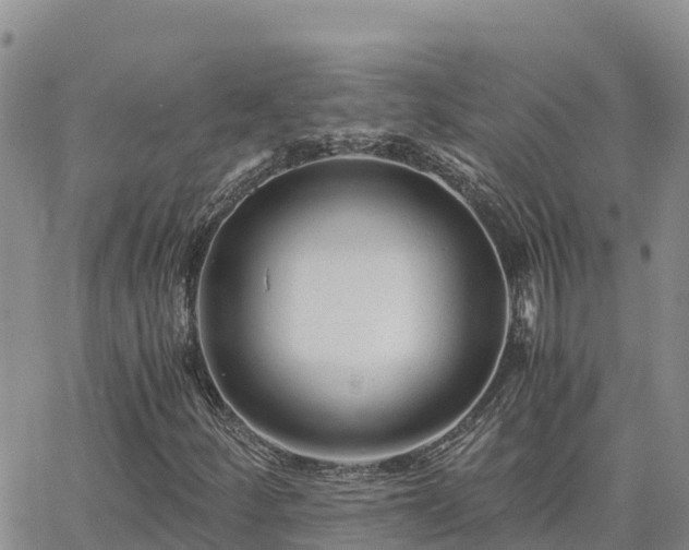 X0000063501252200601231428