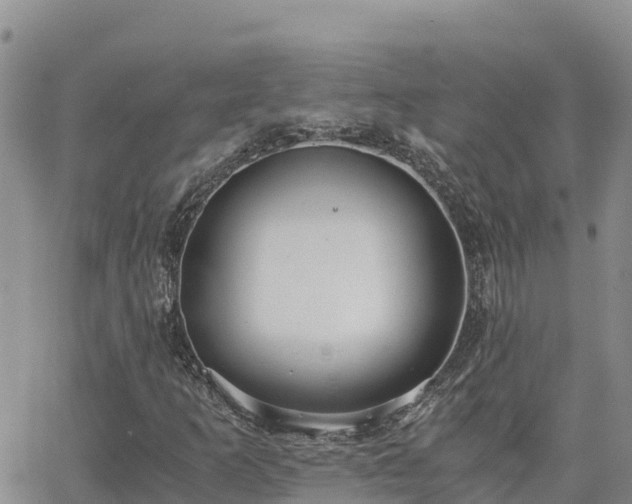 X0000063501253200601231428