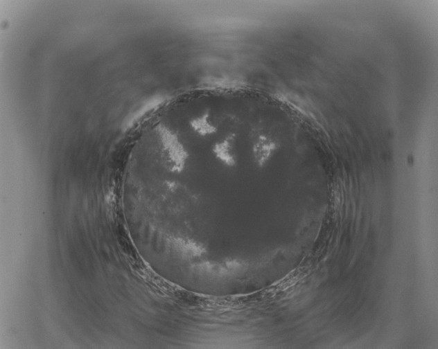 X0000063501254200601231428