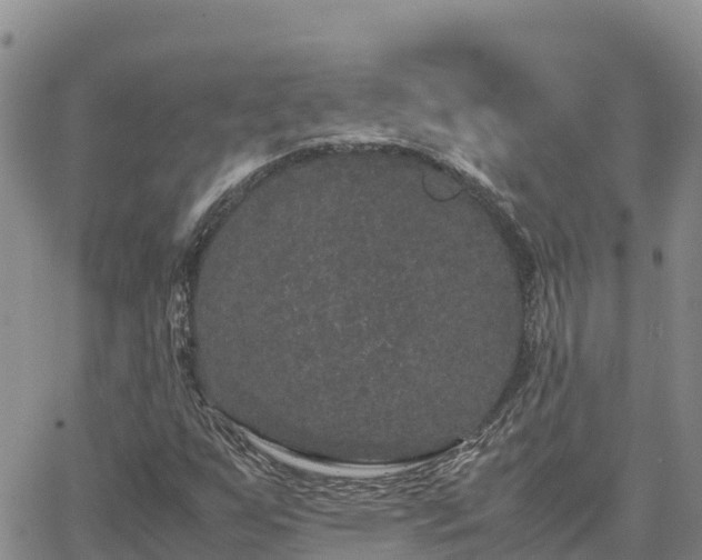 X0000063501255200601231428