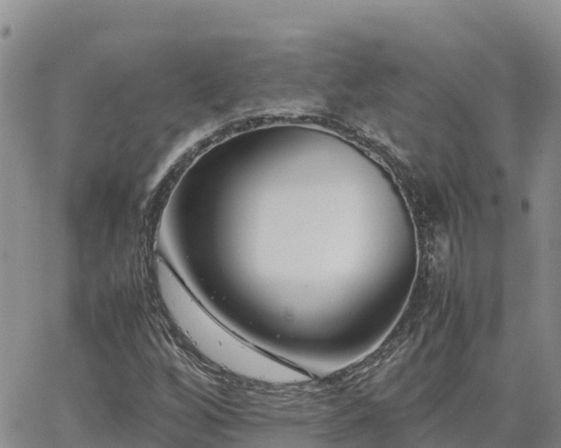 X0000063501256200601231428