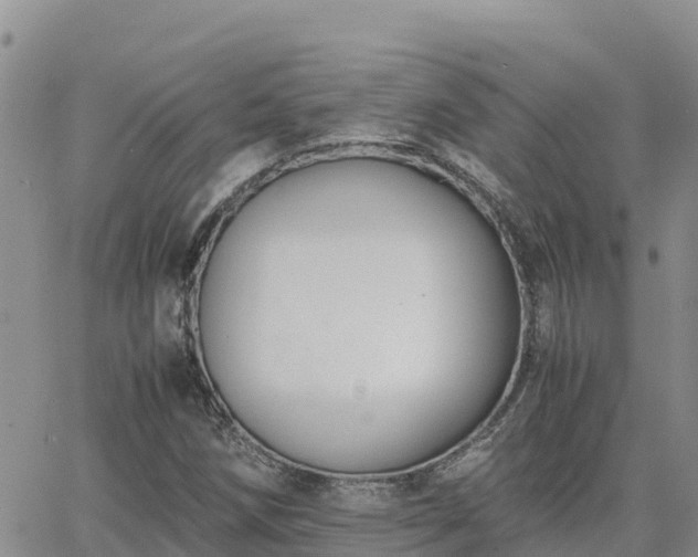 X0000063501258200601231428