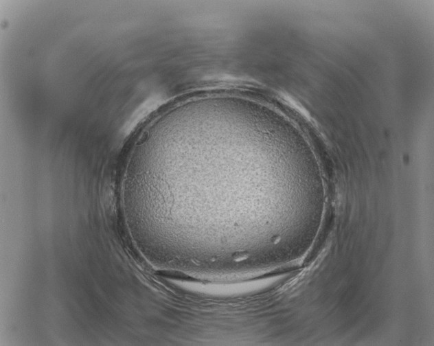 X0000063501259200601231428