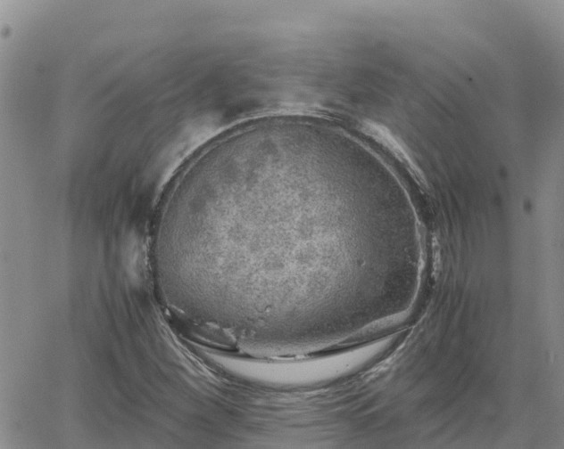 X0000063501260200601231428