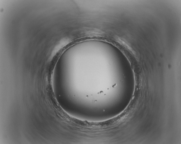 X0000063501261200601231428