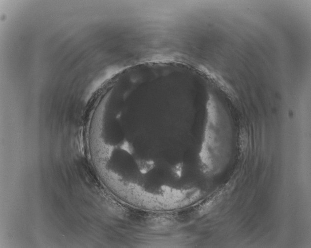 X0000063501262200601231428