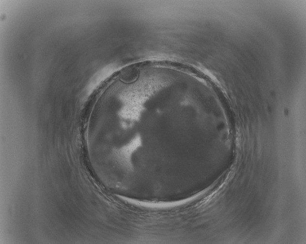 X0000063501263200601231428