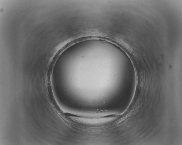 X0000063501264200601231428