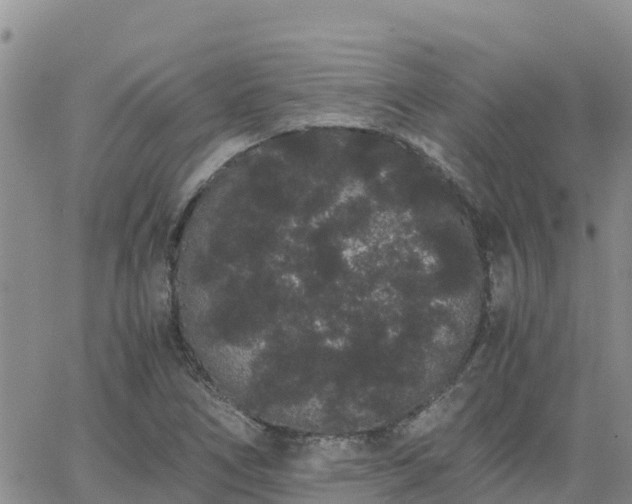 X0000063501266200601231428