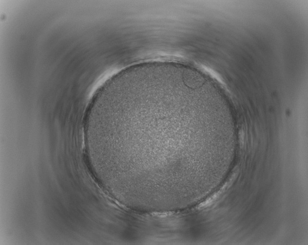 X0000063501267200601231428