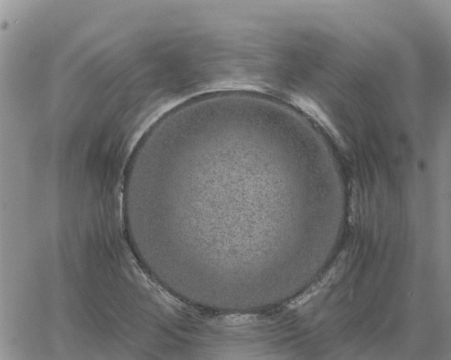 X0000063501268200601231428