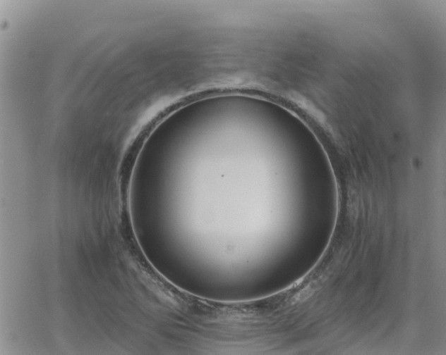 X0000063501270200601231428