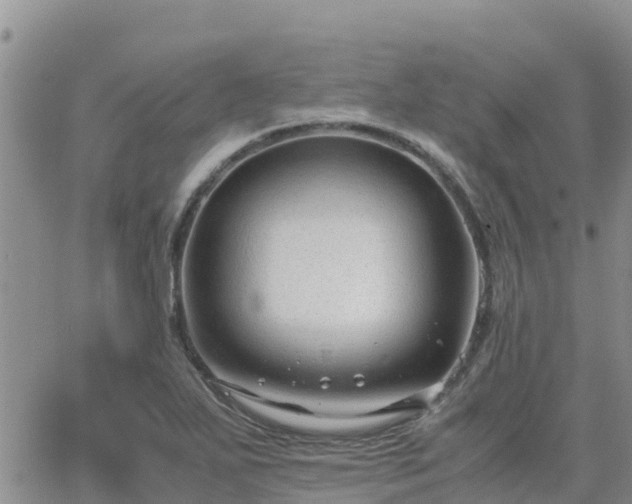 X0000063501271200601231428