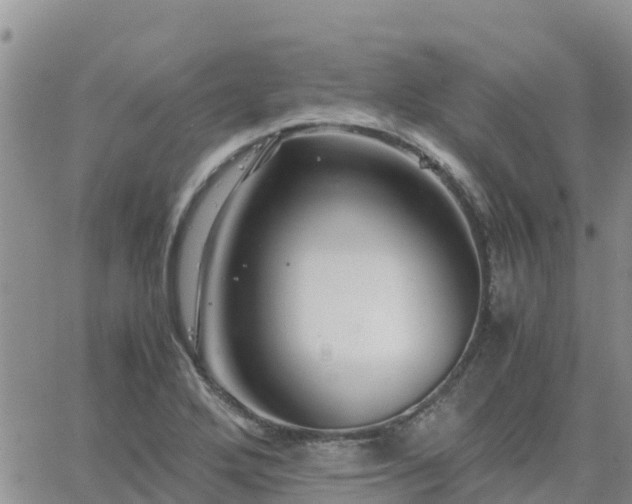 X0000063501272200601231428