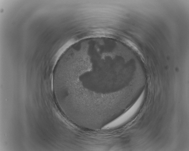 X0000063501275200601231428