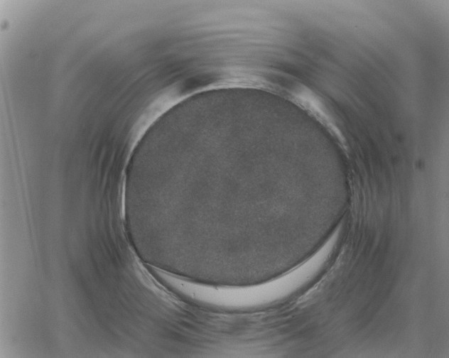 X0000063501276200601231428