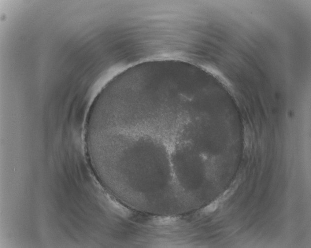 X0000063501278200601231428