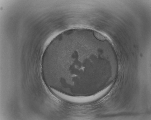 X0000063501279200601231428