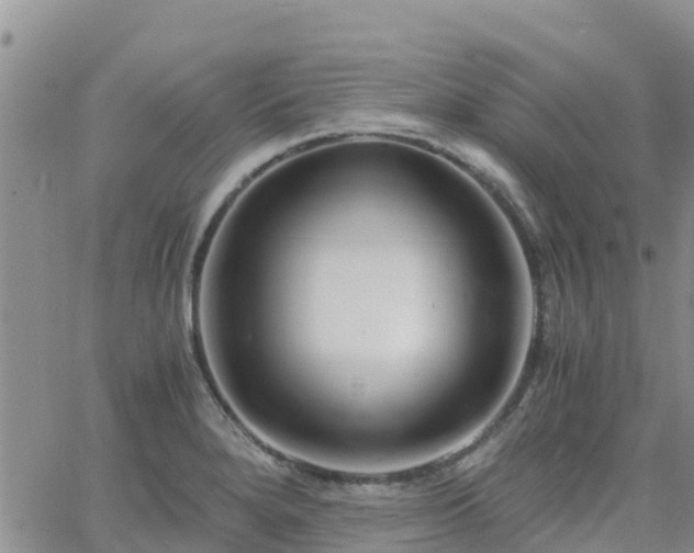 X0000063501280200601231428