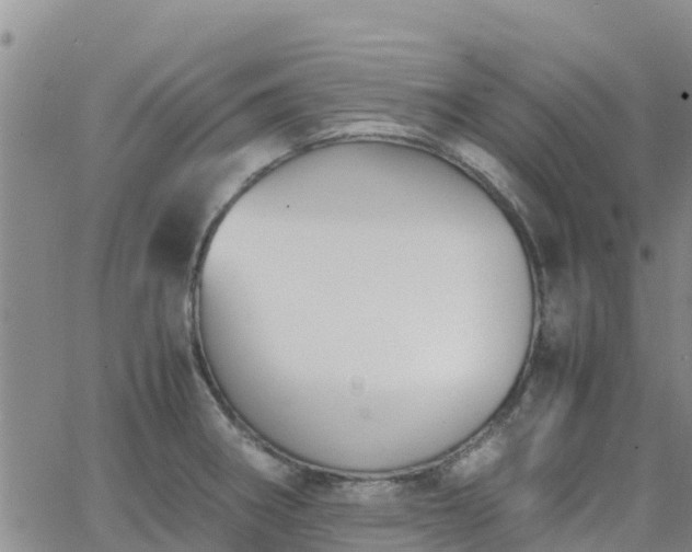 X0000063501282200601231428